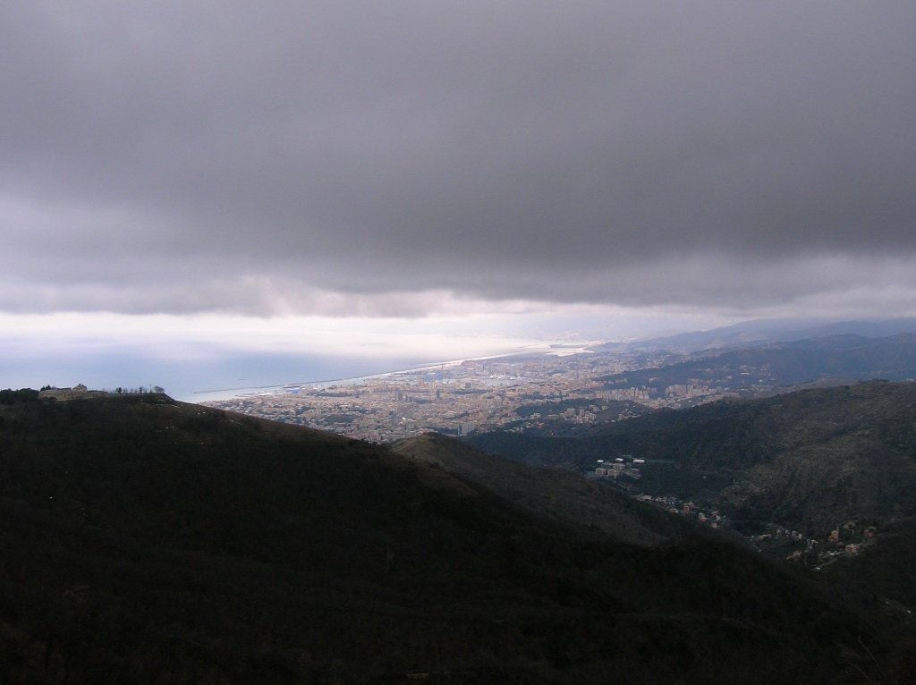 photo26.jpg
