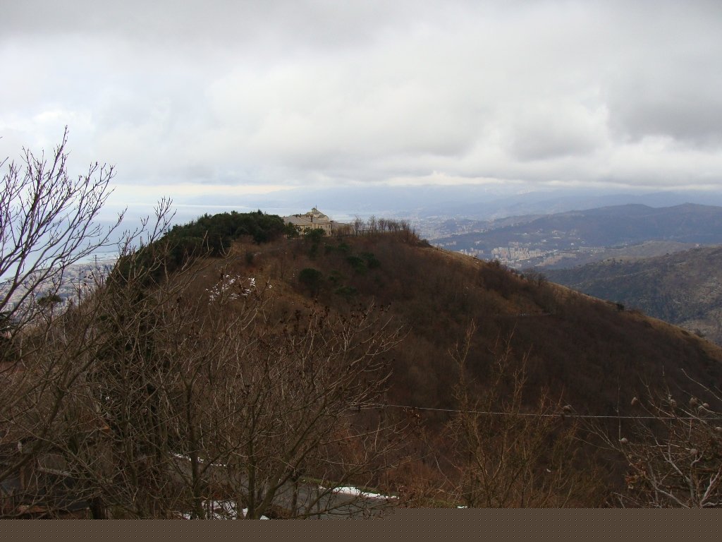 photo10.jpg
