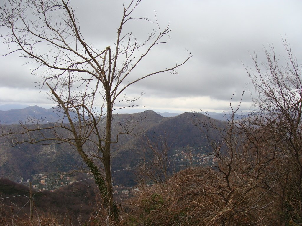 photo11.jpg