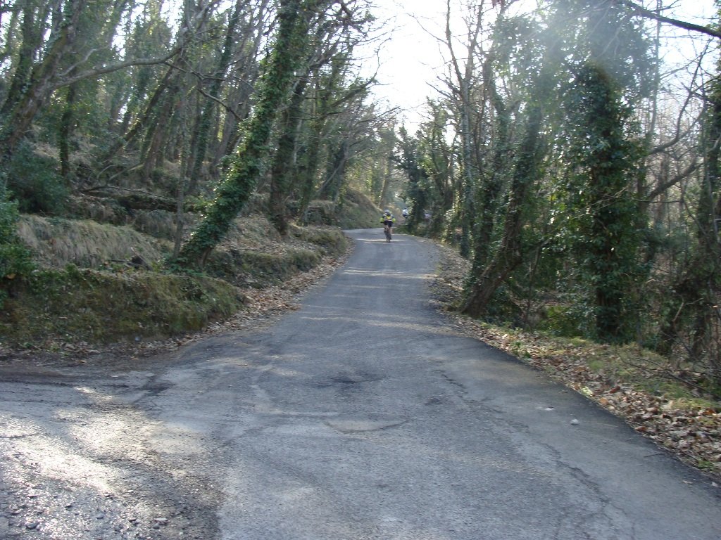 dsc00911.jpg