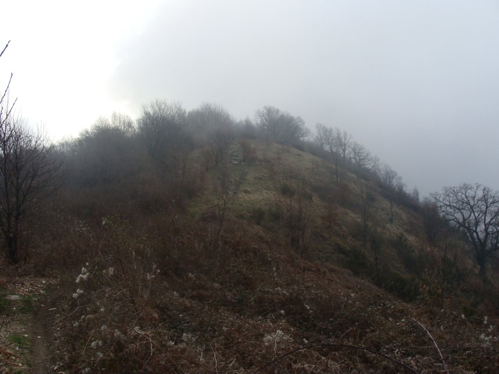 dsc00916.jpg