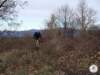 dsc02545_small.jpg