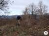 dsc02546_small.jpg