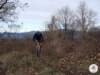 dsc02547_small.jpg
