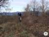 dsc02567_small.jpg