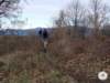 dsc02568_small.jpg
