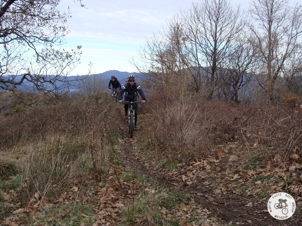 dsc02570.jpg