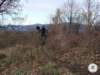 dsc02570_small.jpg