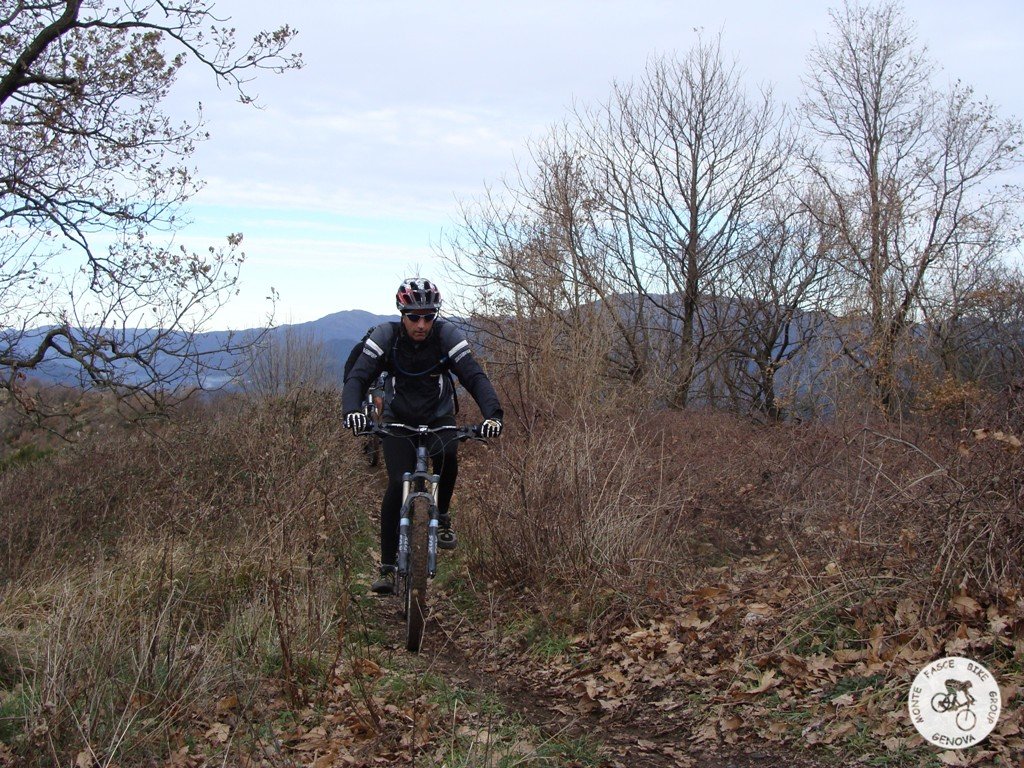 dsc02574.jpg