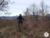 dsc02574_small.jpg