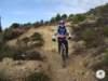 dsc02627_small.jpg