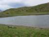 dscn4402_small.jpg