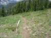 dscn4460_small.jpg