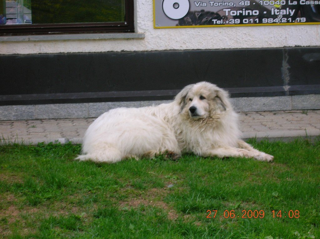 claviere080.jpg