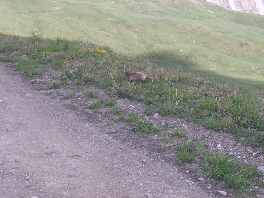 imgp1252.jpg