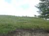 imgp1254_small.jpg