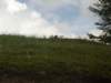 imgp1255_small.jpg
