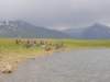 imgp1279_small.jpg