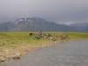 imgp1280_small.jpg