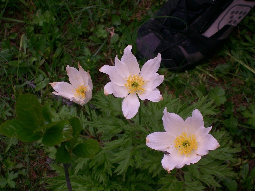 clavier2009032.jpg