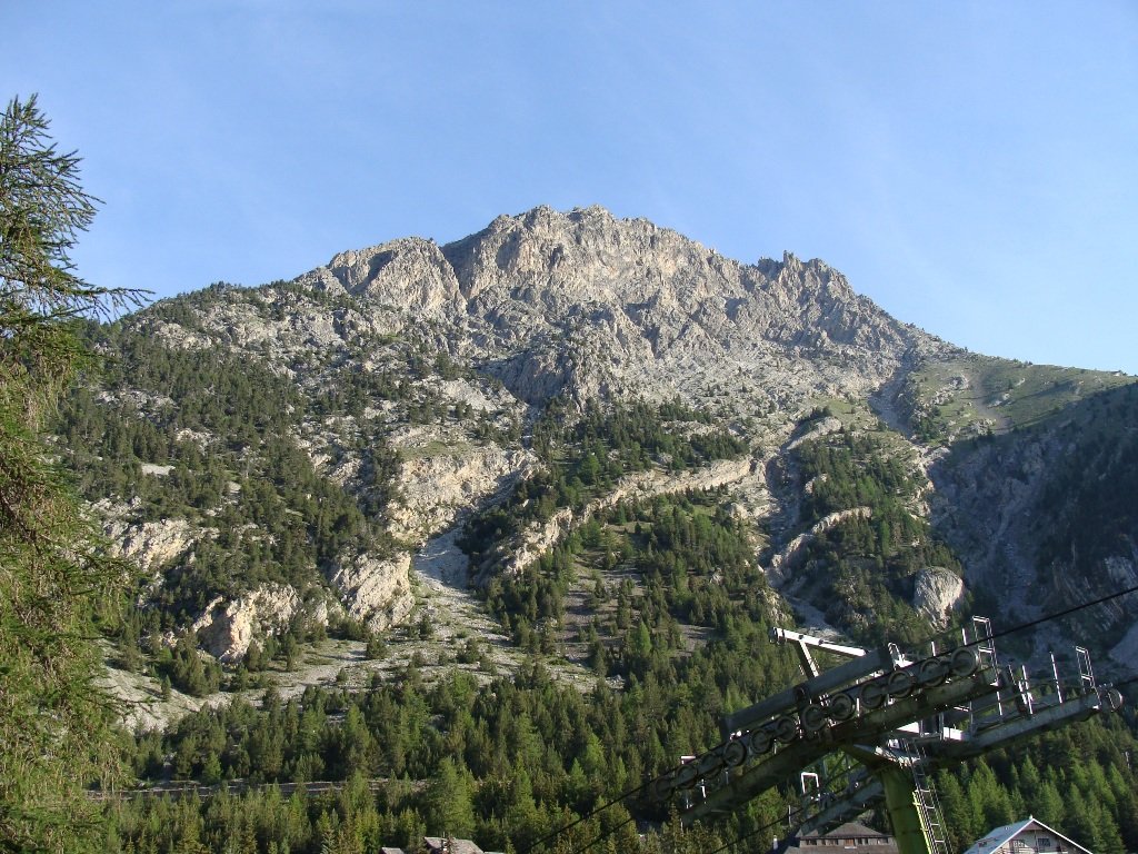 dsc01310.jpg