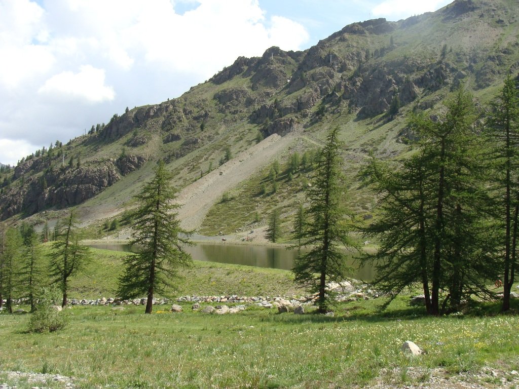 dsc01337.jpg