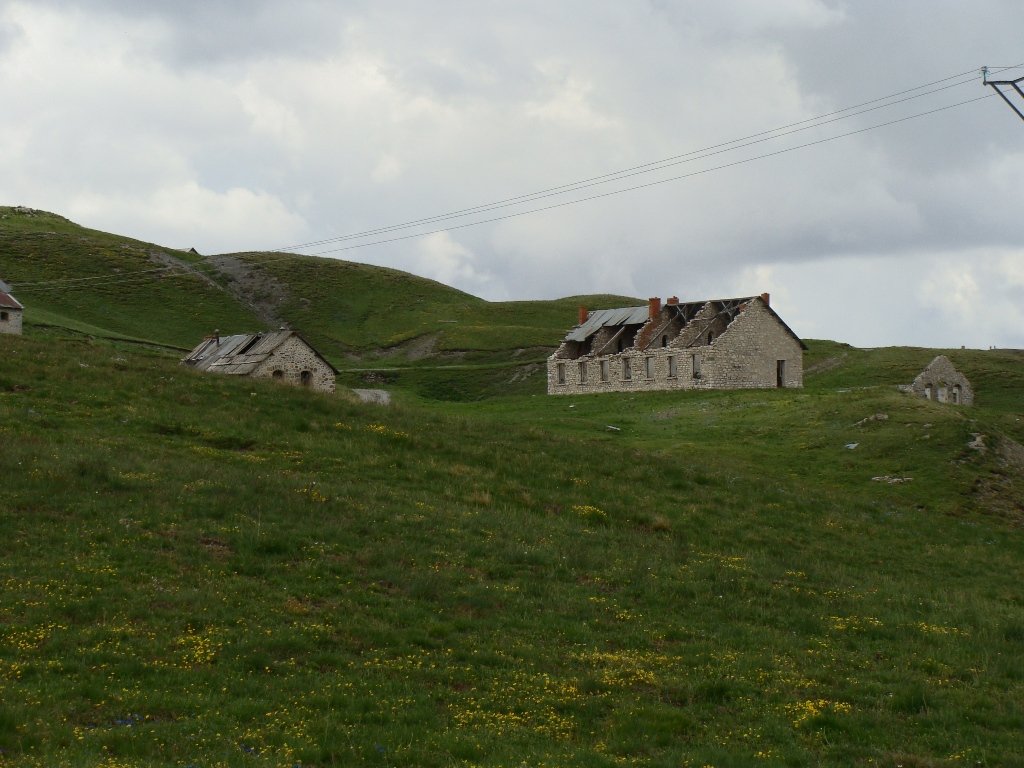 dsc01339.jpg