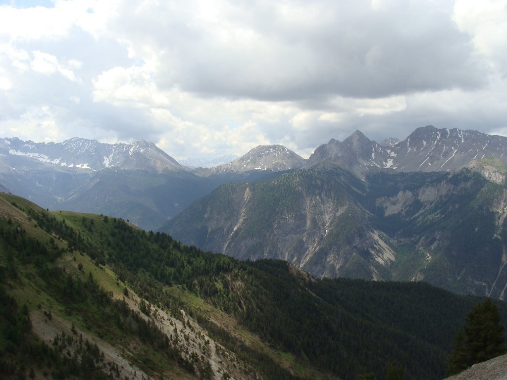 dsc01346.jpg