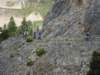 dsc01350_small.jpg