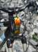 dsc01351_small.jpg