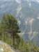 dsc01353_small.jpg