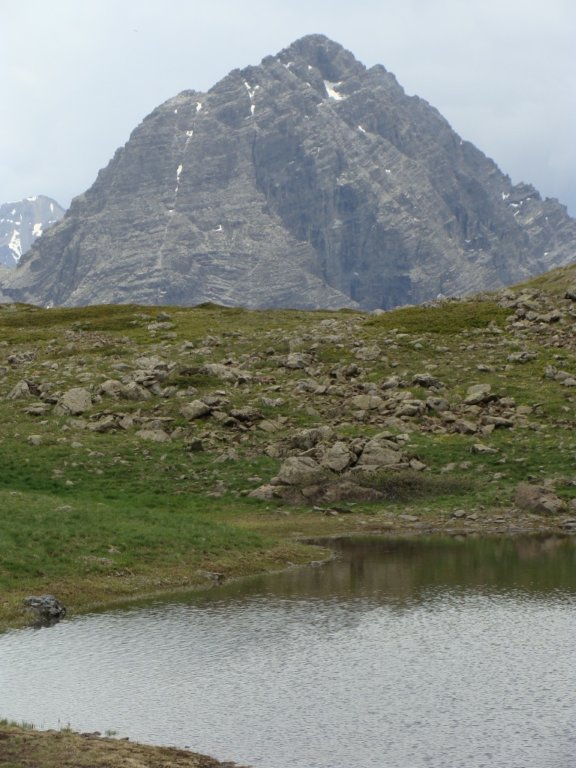 dsc01368.jpg