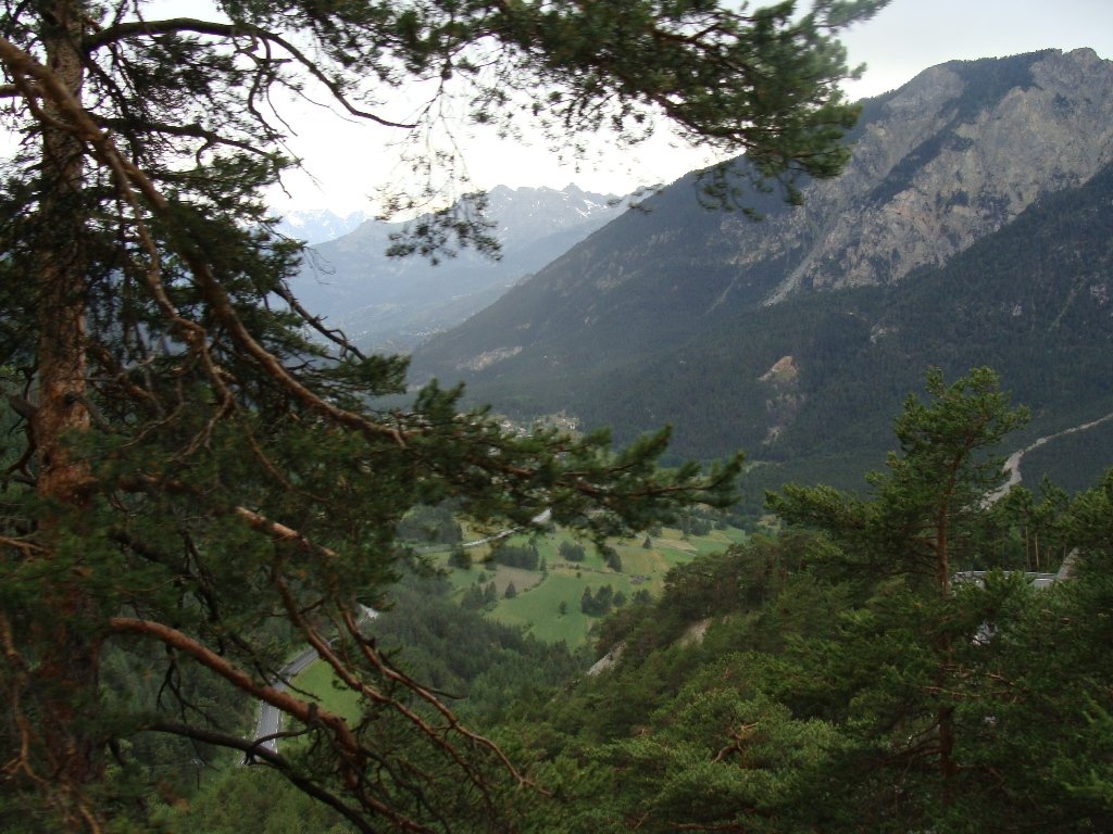 dsc01392.jpg
