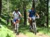 dsc01432_small.jpg