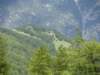 dsc01438_small.jpg