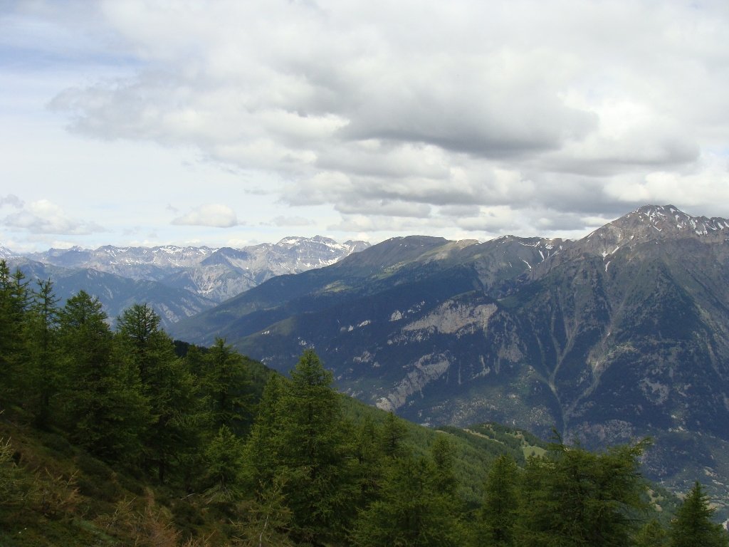 dsc01439.jpg