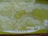 dsc01466_small.jpg