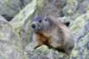 dsc014672_small.jpg