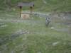 dsc01468_small.jpg