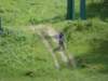 dsc01471_small.jpg