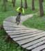 dsc01491_small.jpg