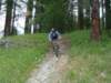 dsc01497_small.jpg