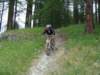 dsc01498_small.jpg