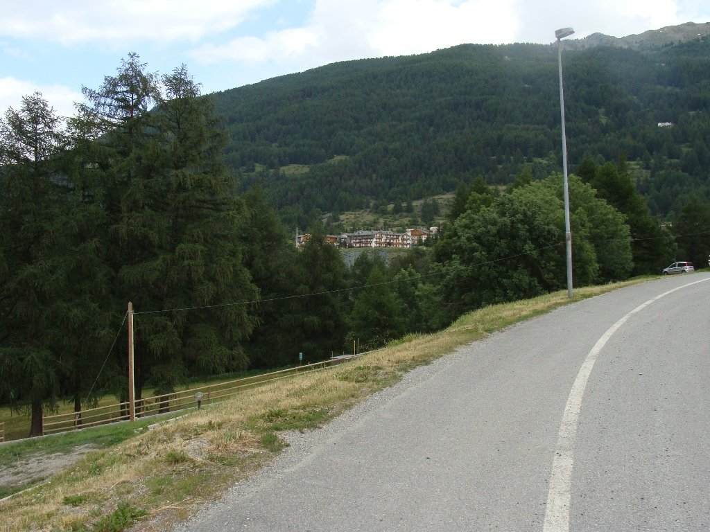dsc01509.jpg