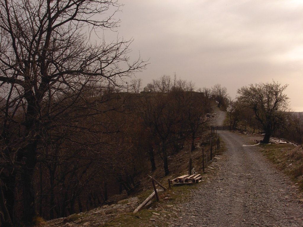 dscn1750.jpg