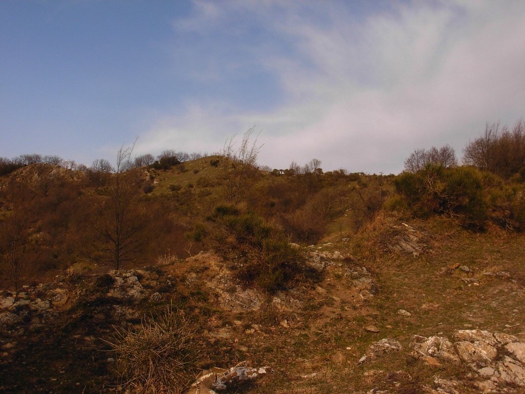 dscn1755.jpg