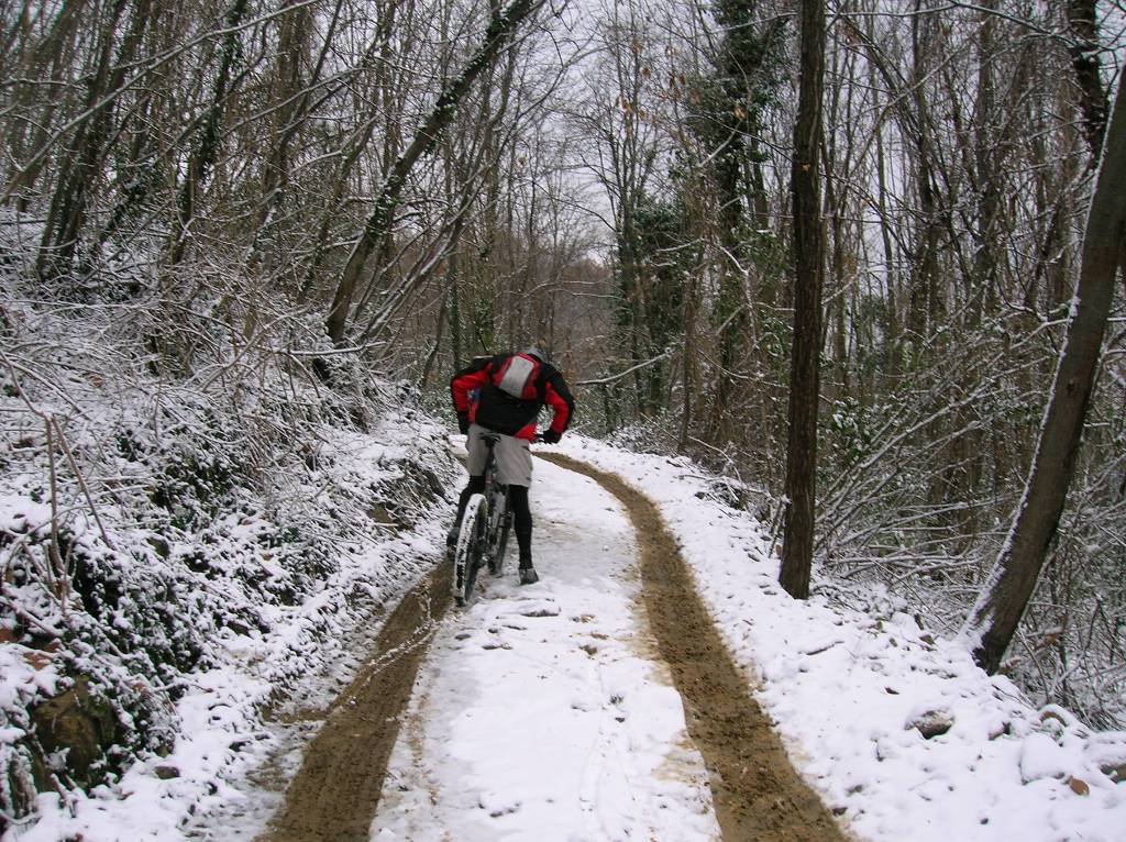 befana2008014.jpg