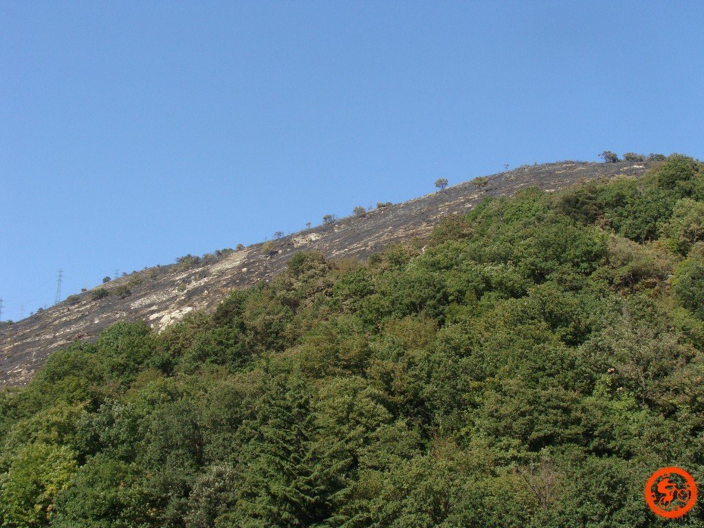 dsc02072.jpg
