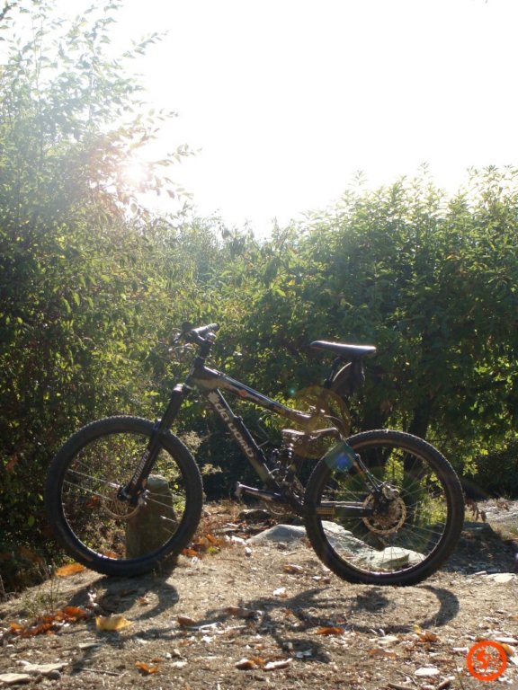 dsc02092.jpg