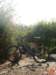 dsc02092_small.jpg